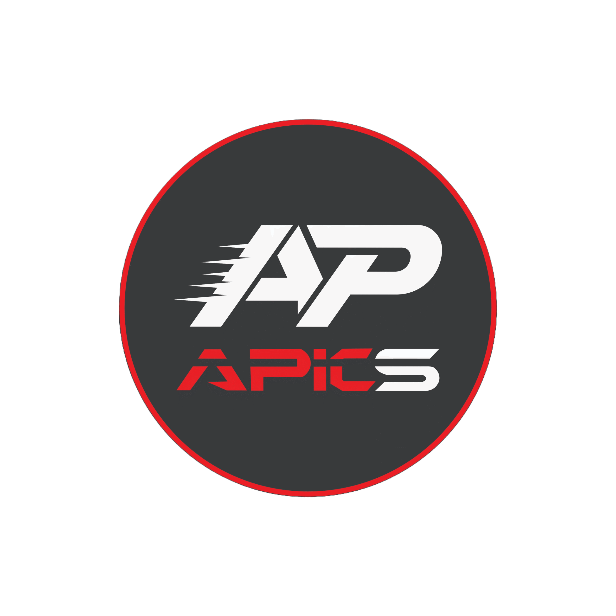 APIC STORE LOGO