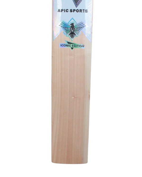 Hawk Series Bat